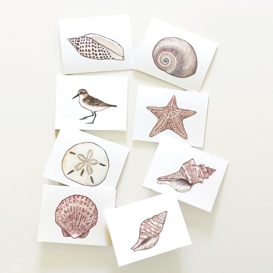 Original artwork of seashells and a sandpiper by Robbin V. Davis, printed on heavy quality folded notecards.