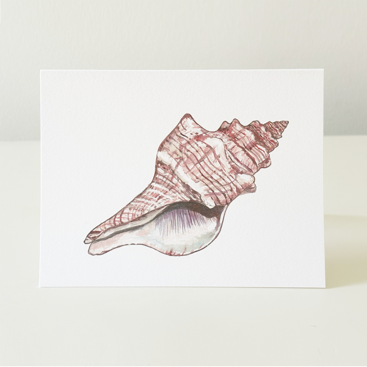Beach notecards, set of 8