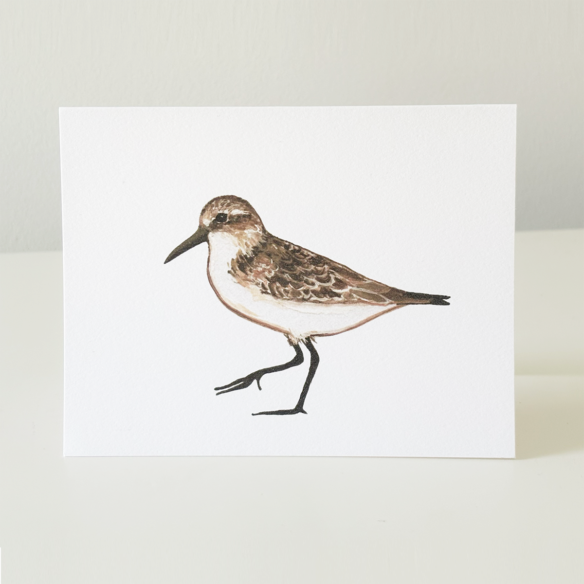 Beach notecards, set of 8