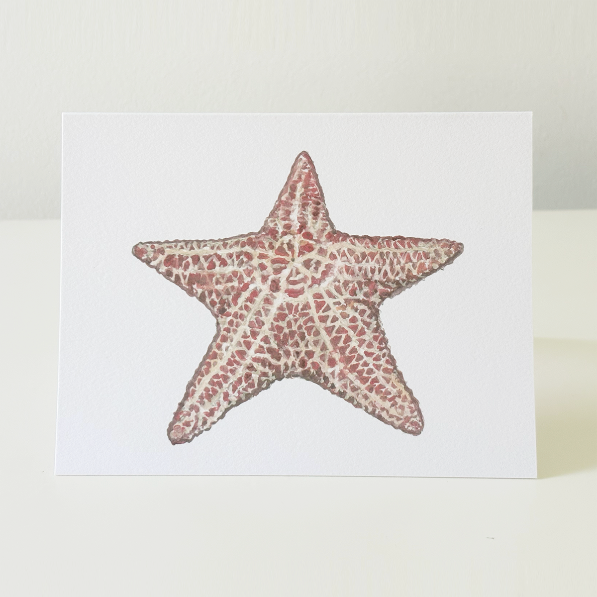 Beach notecards, set of 8