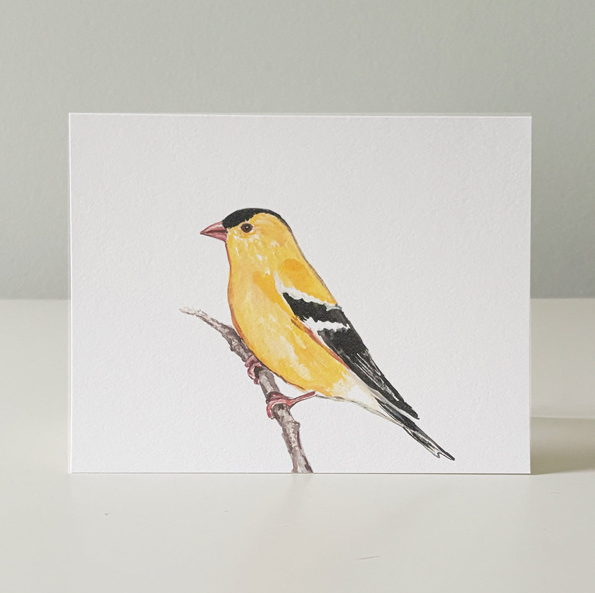 Bird notecards, set of 8 or 10