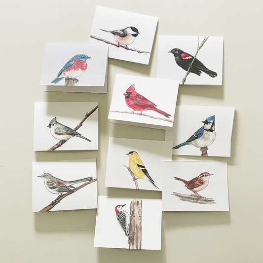 Bird notecards, set of 8 or 10