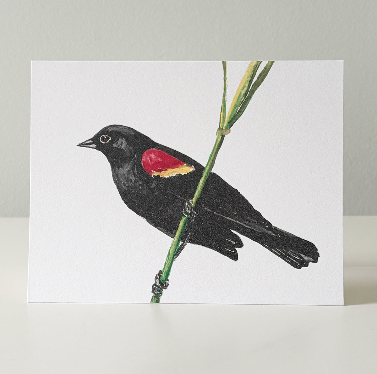 Bird notecards, set of 8 or 10