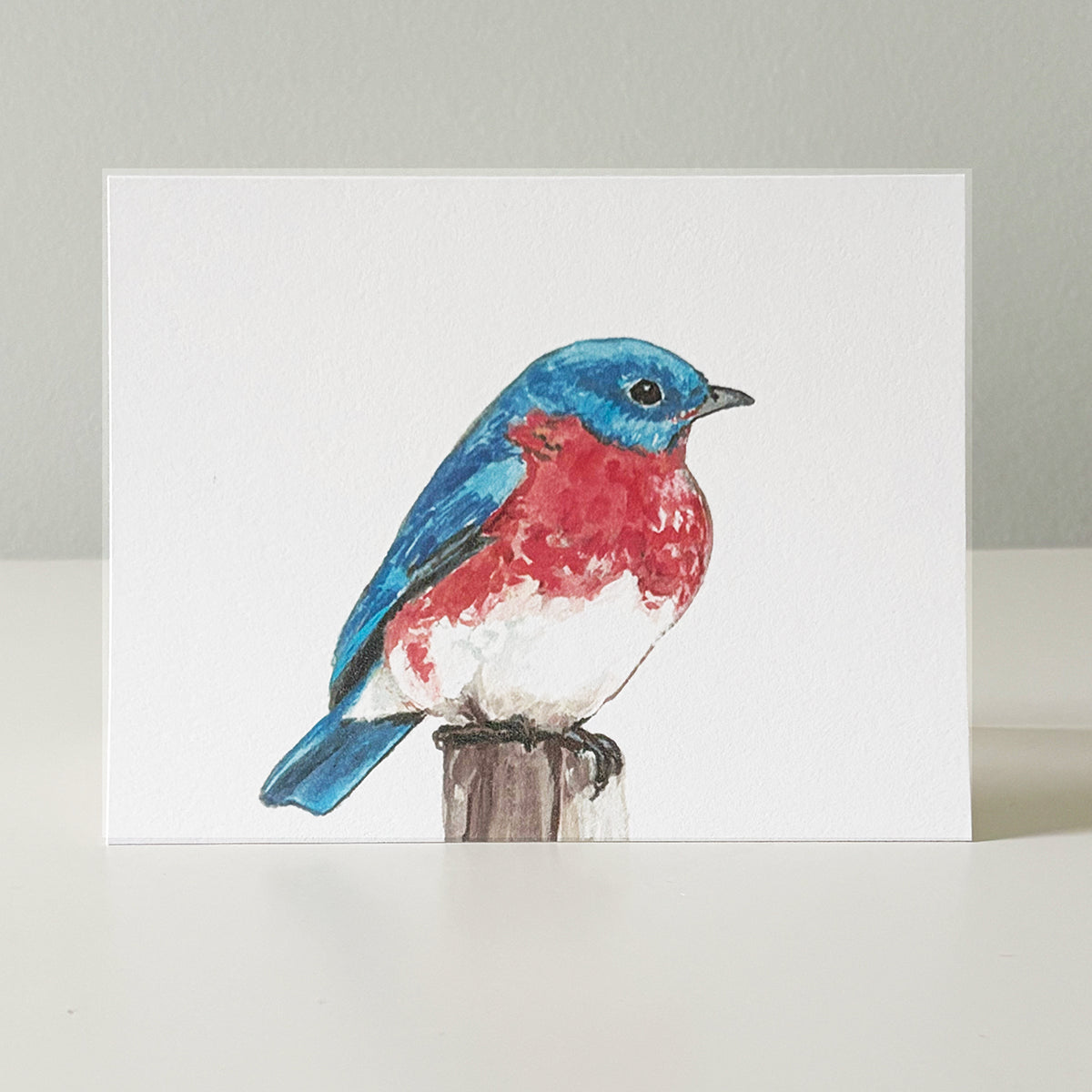 Bird notecards, set of 8 or 10