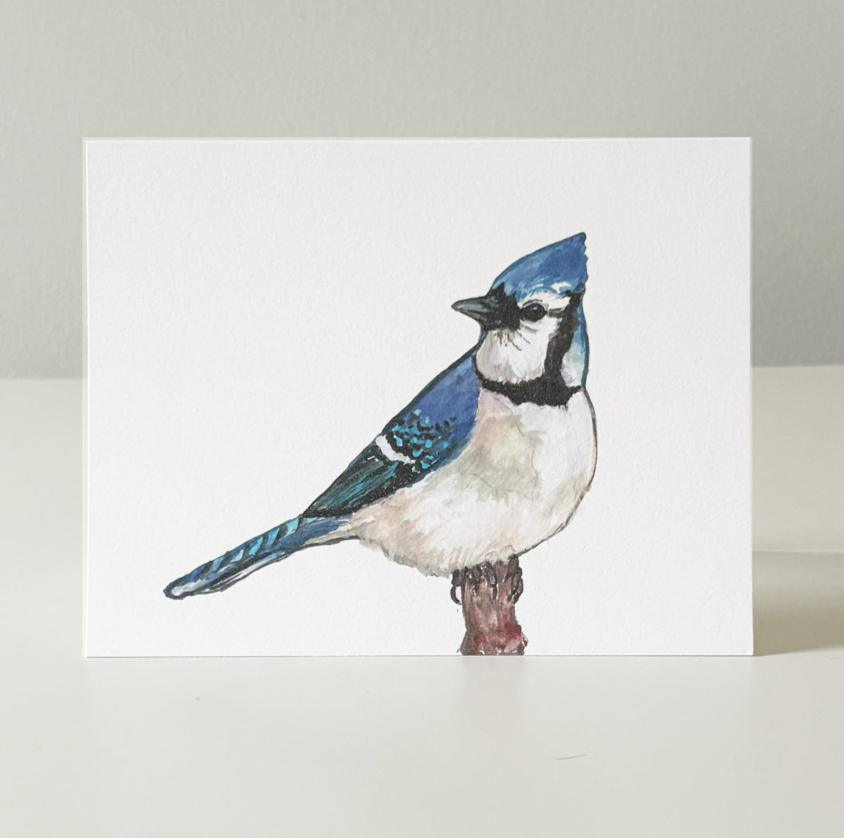 Bird notecards, set of 8 or 10