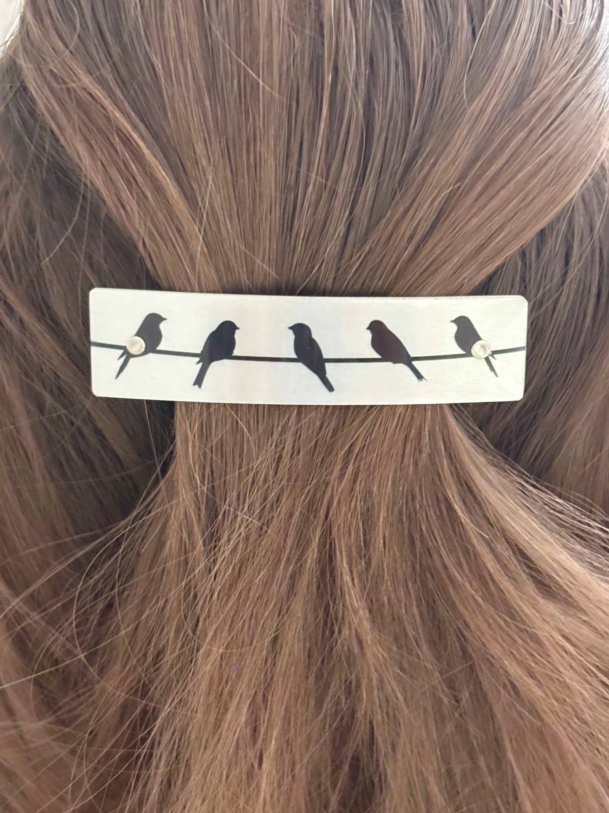 A silver rectangular hair clip featuring a black silhouette design of five birds perched on a wire, shown pinned to brown hair.