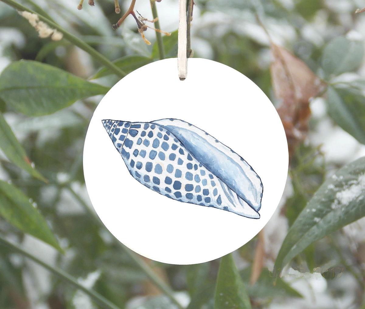 Blue and White Junonia Shell Ornament