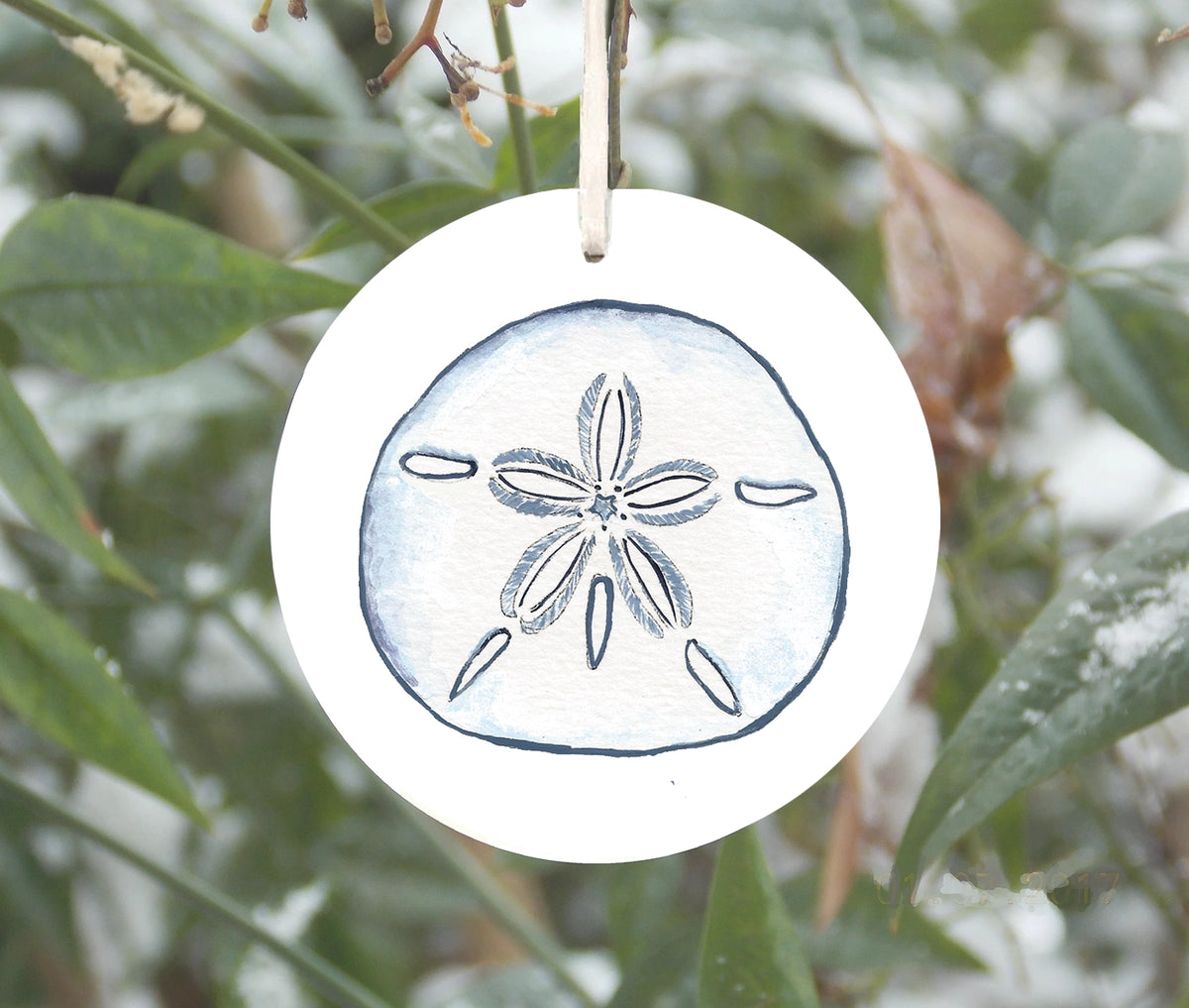 Blue and White Sand Dollar Ornament