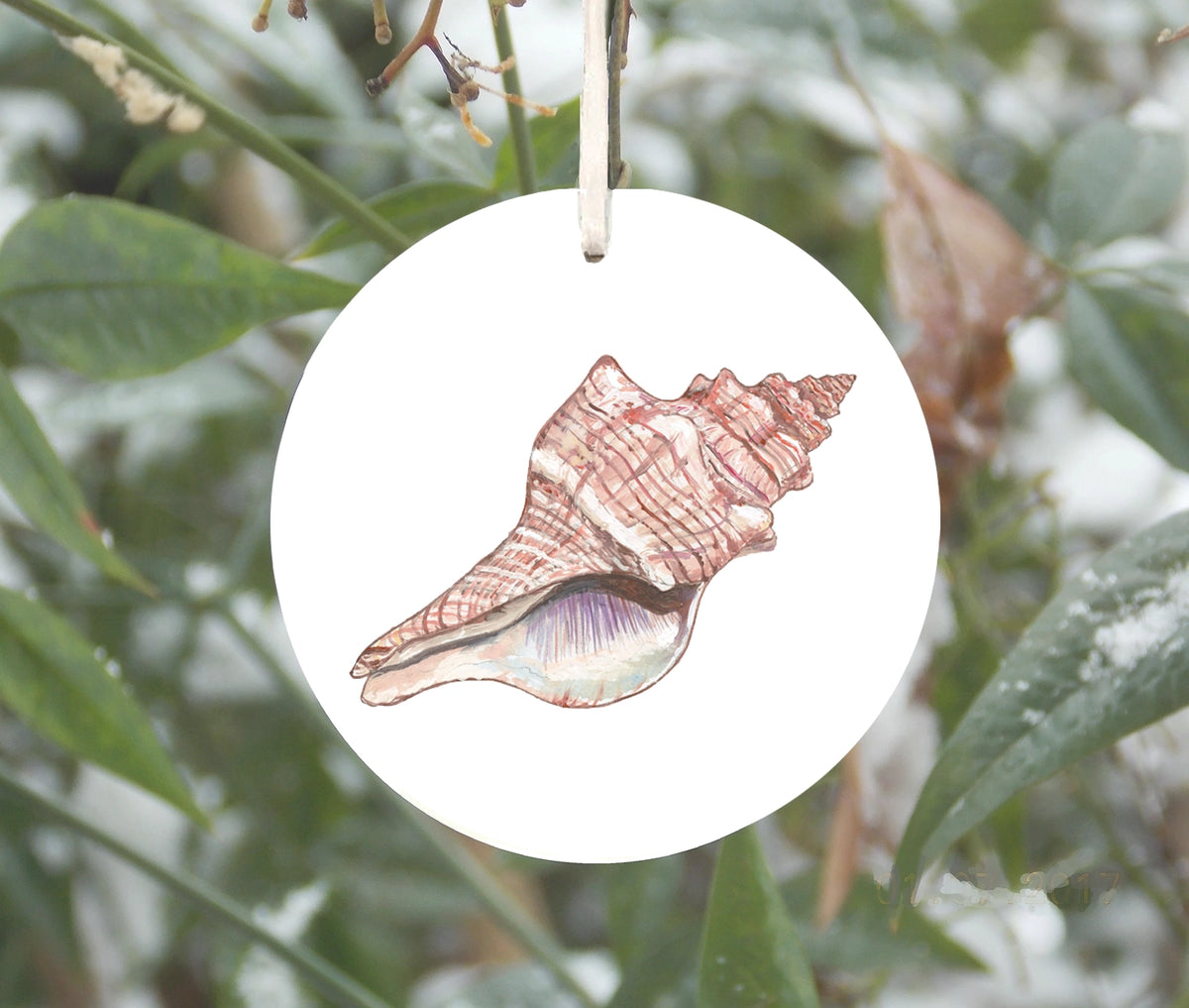Conch Shell Ornament