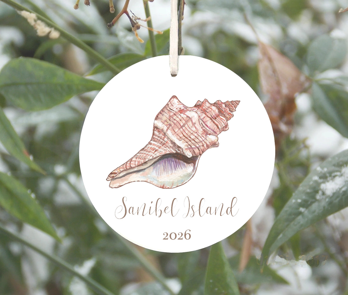 Conch Shell Ornament
