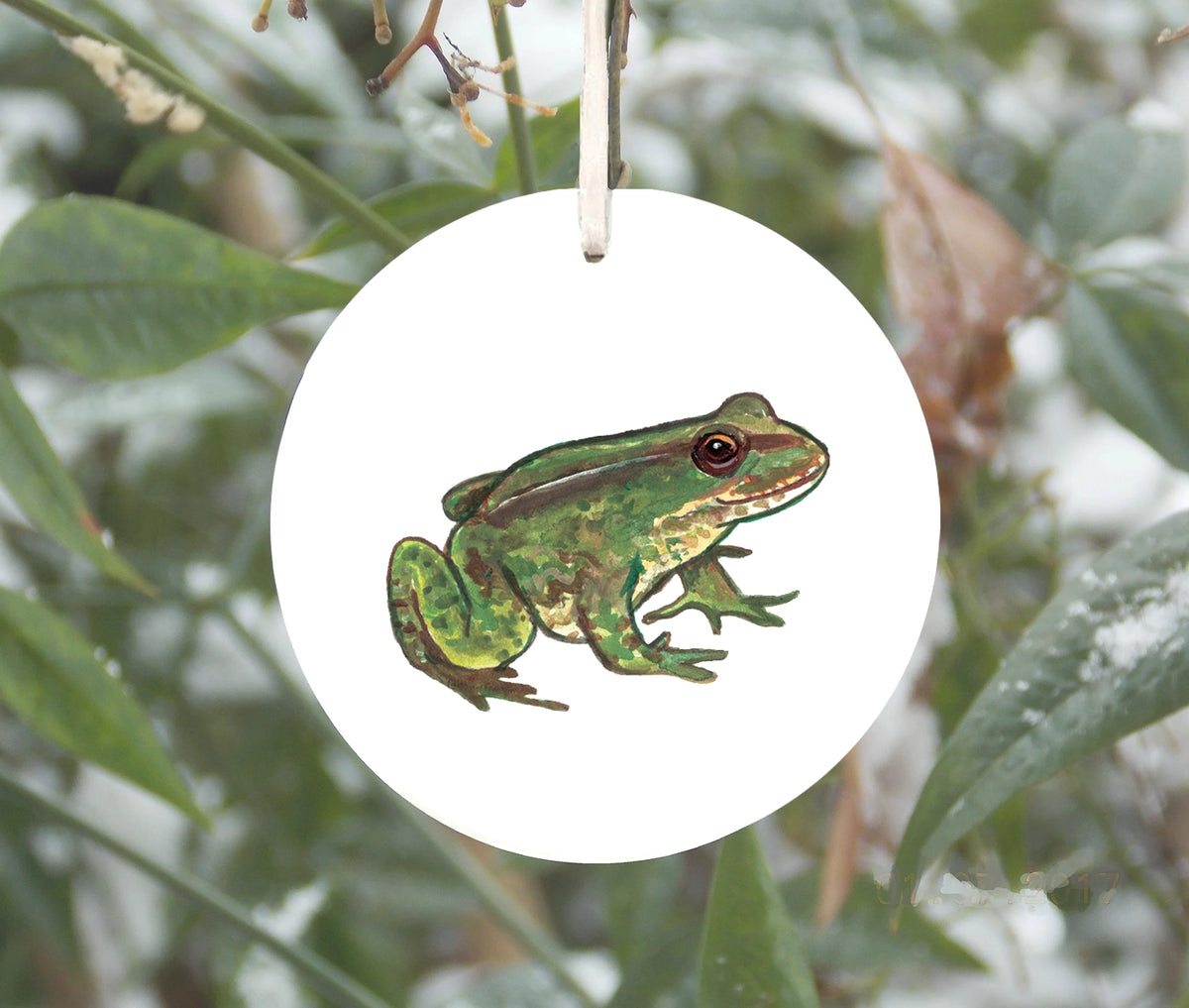 Frog Ornament