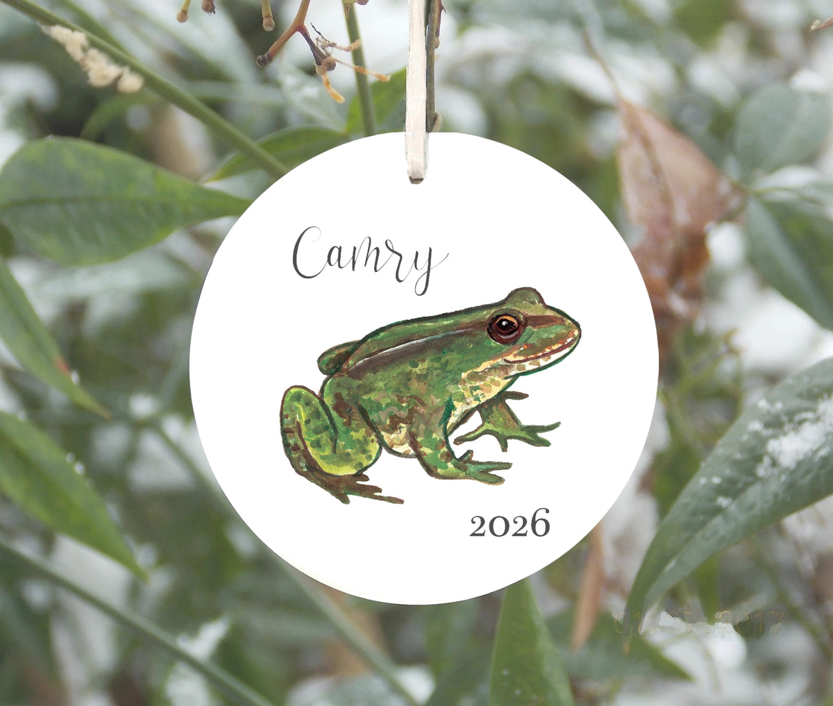 Frog Ornament