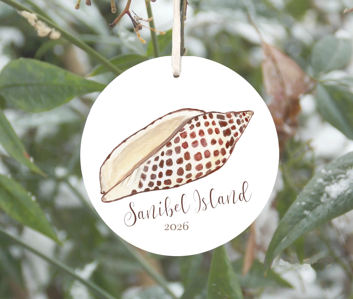 Junonia Shell Ornament