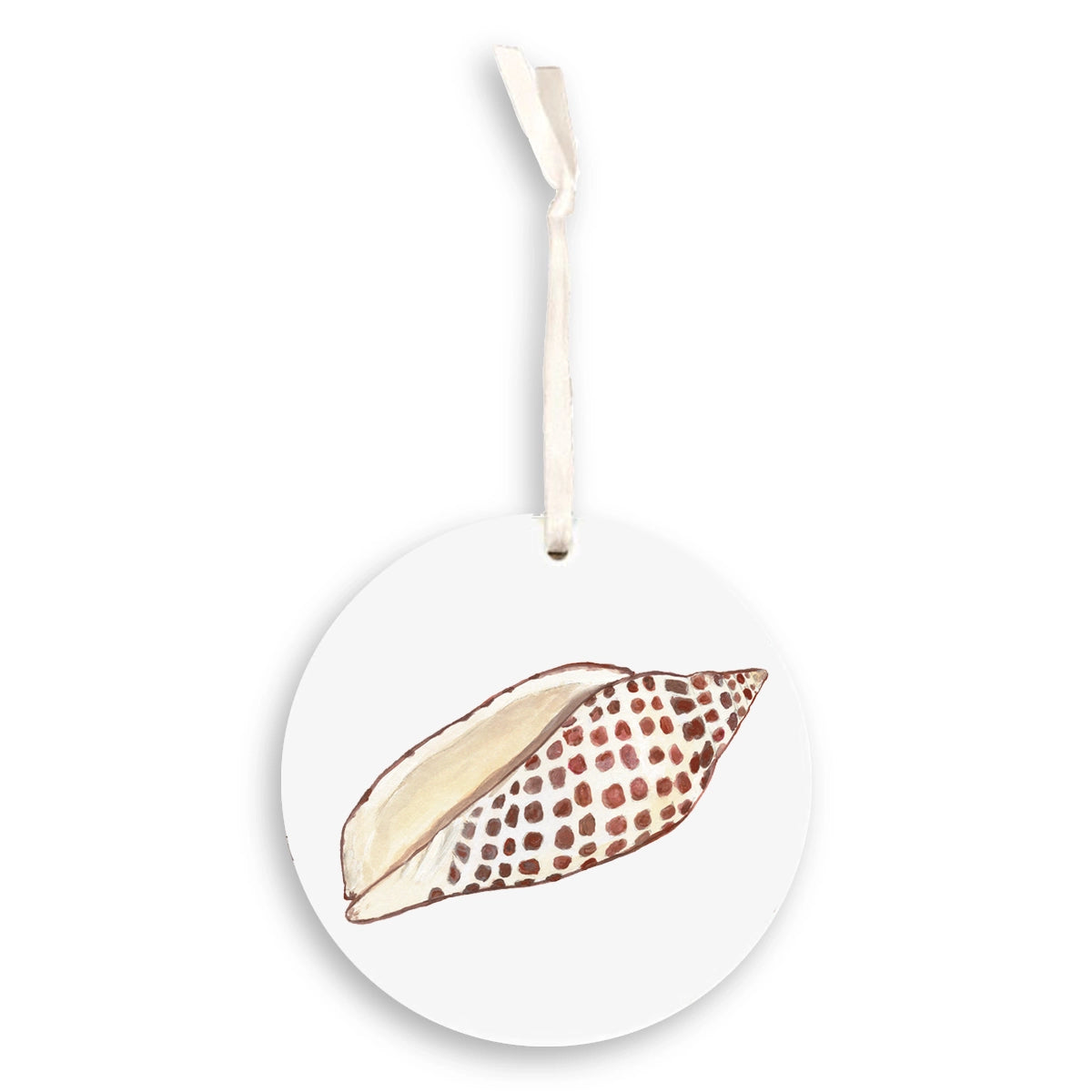 Junonia Shell Ornament
