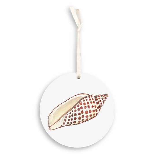 Junonia Shell Ornament