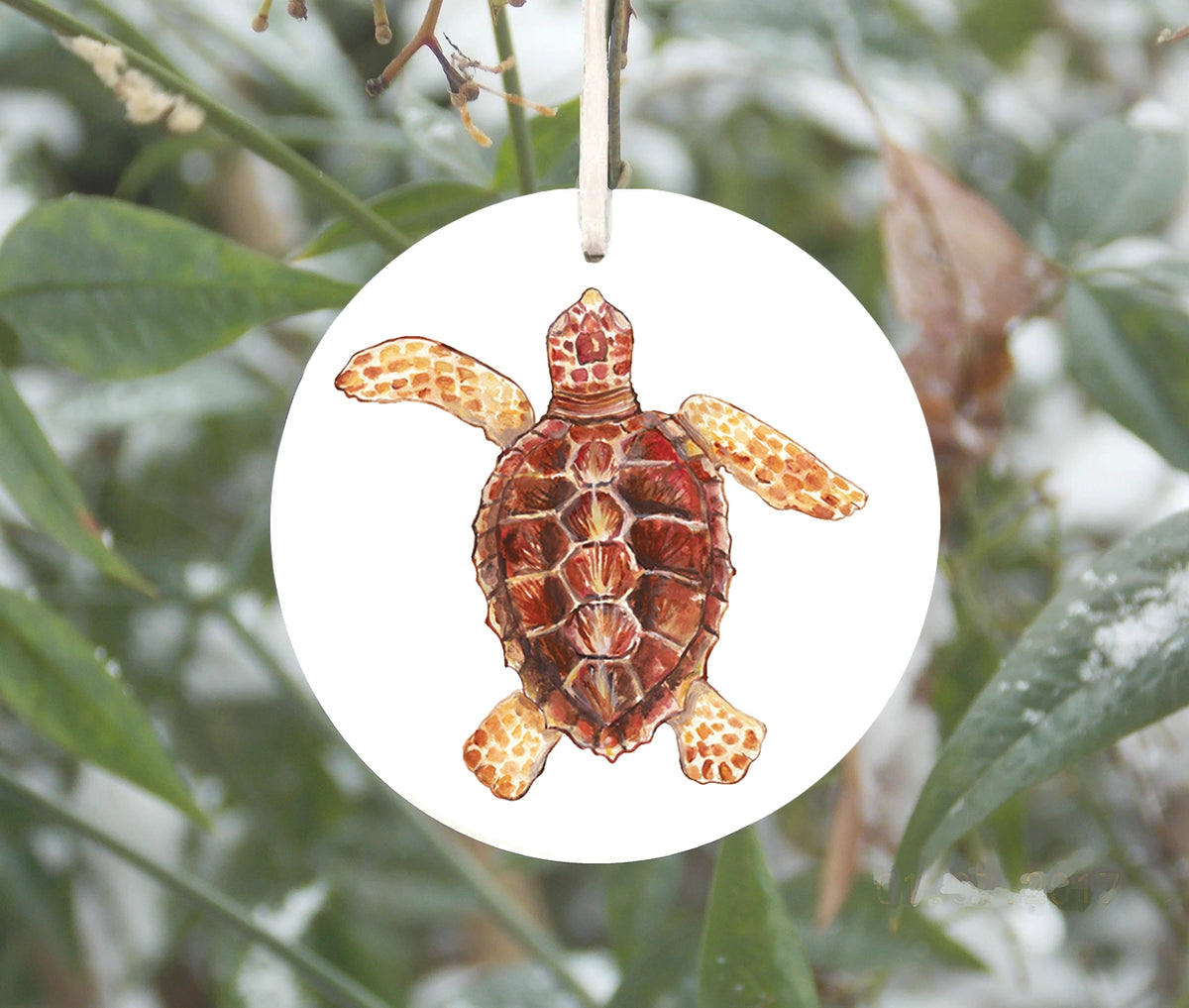 Loggerhead Sea Turtle Ornament