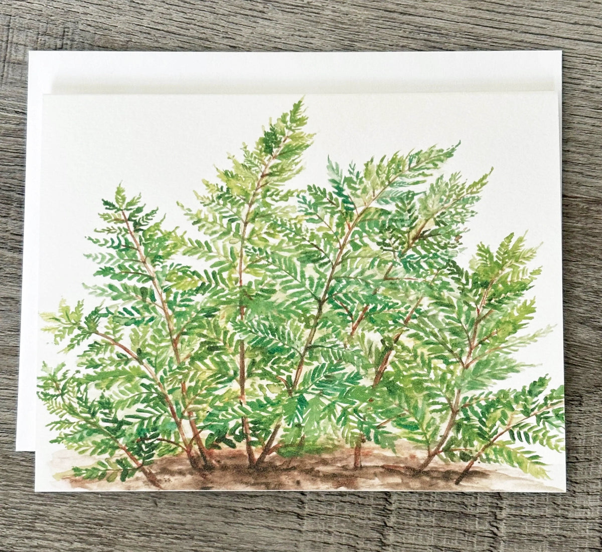 Mountain Notecards, set of 8