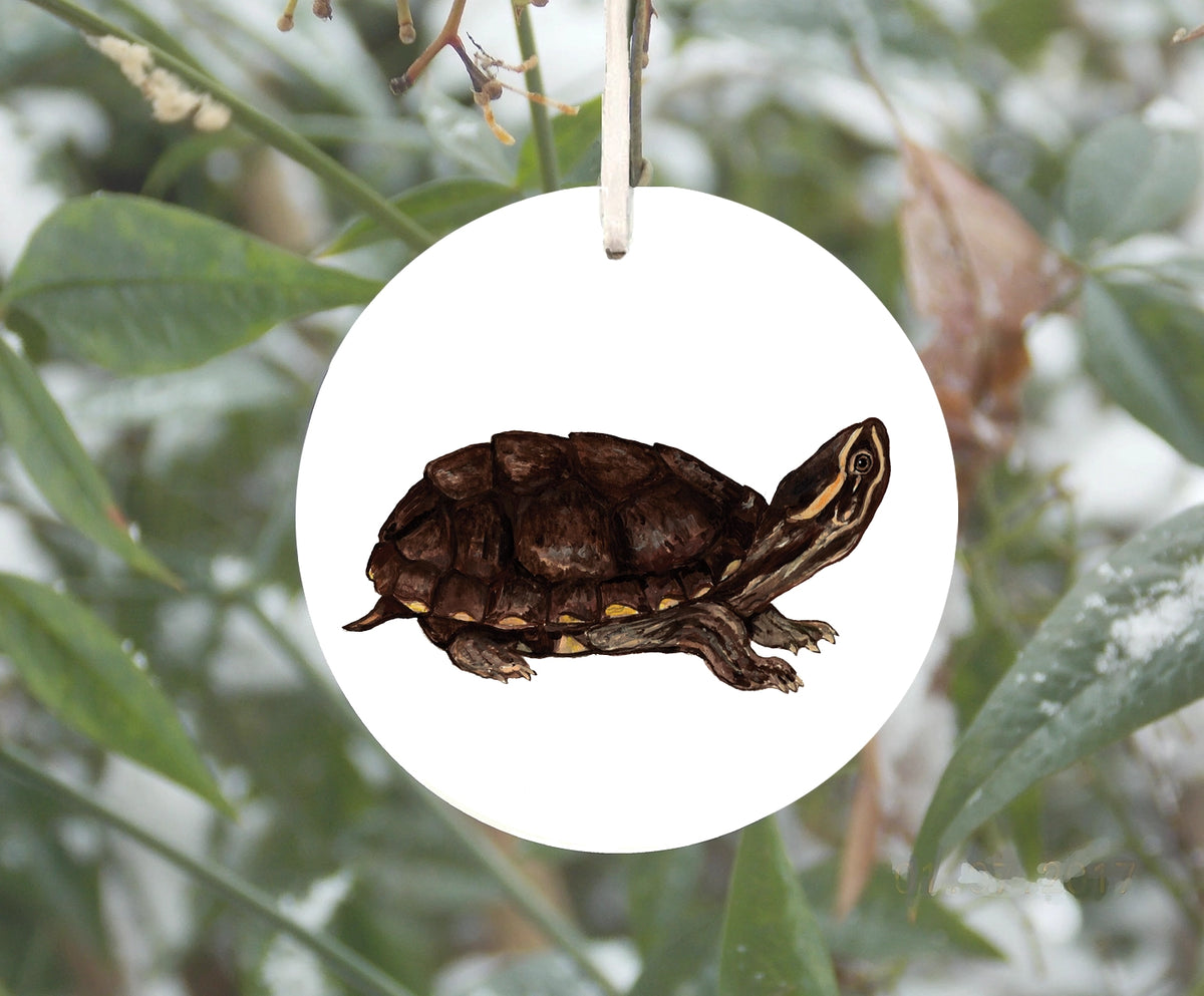 Musk Turtle Ornament