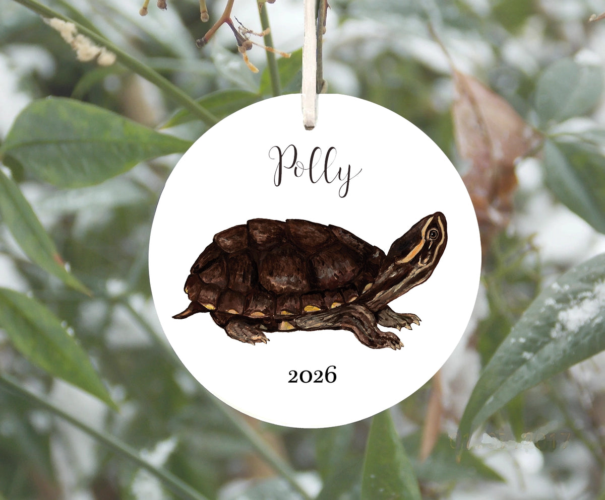 Musk Turtle Ornament