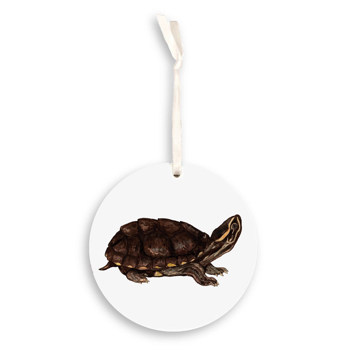 Musk Turtle Ornament