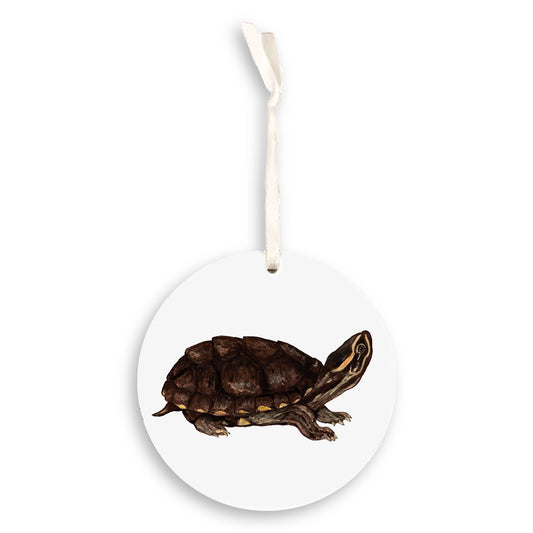 Musk Turtle Ornament