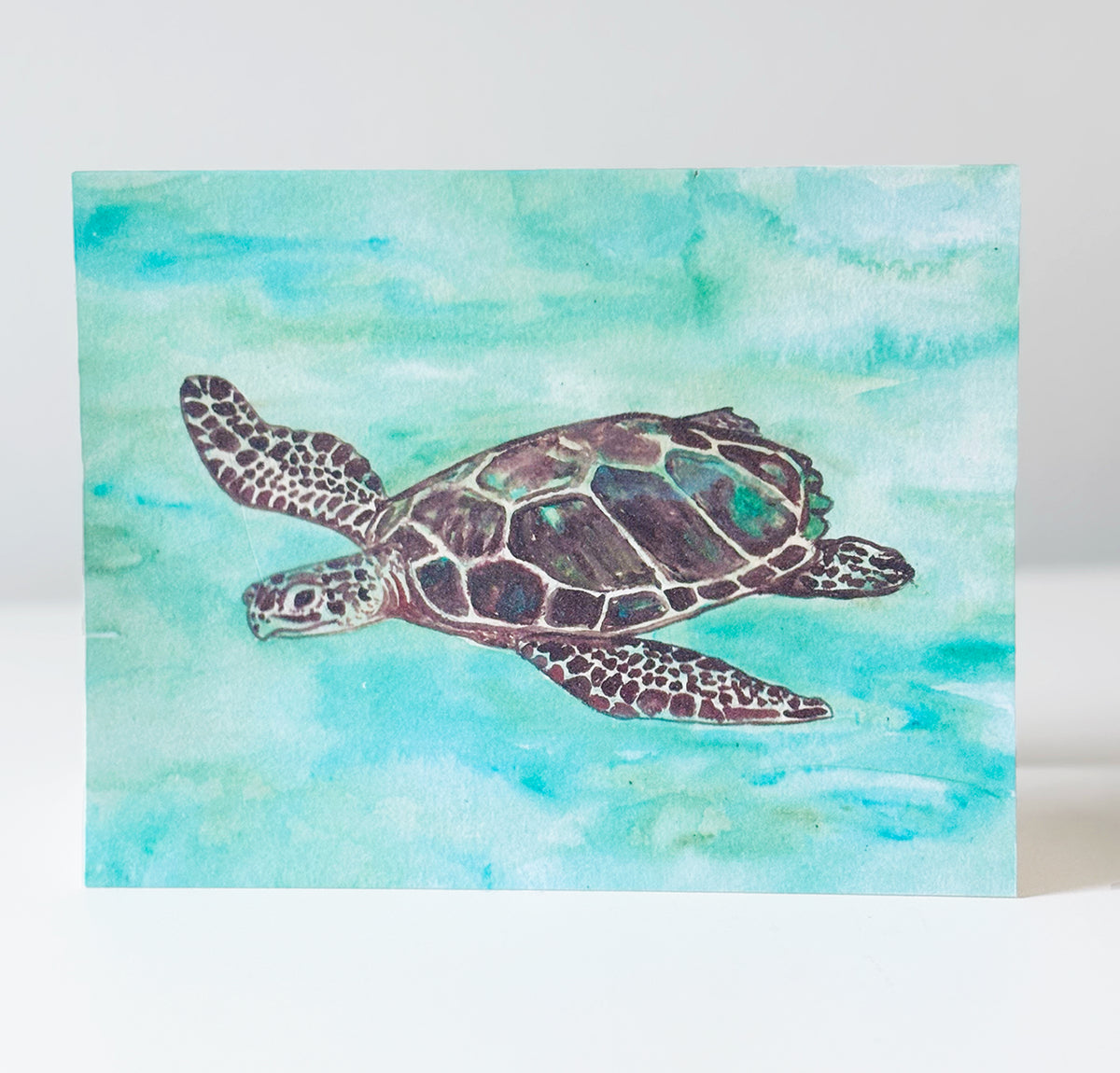 Sea Turtle Notecards, set of 8