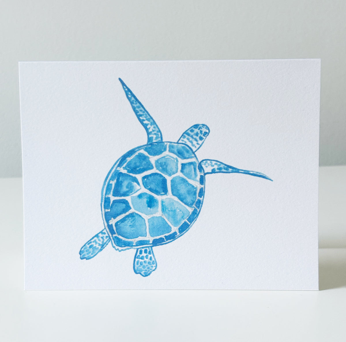Sea Turtle Notecards, set of 8