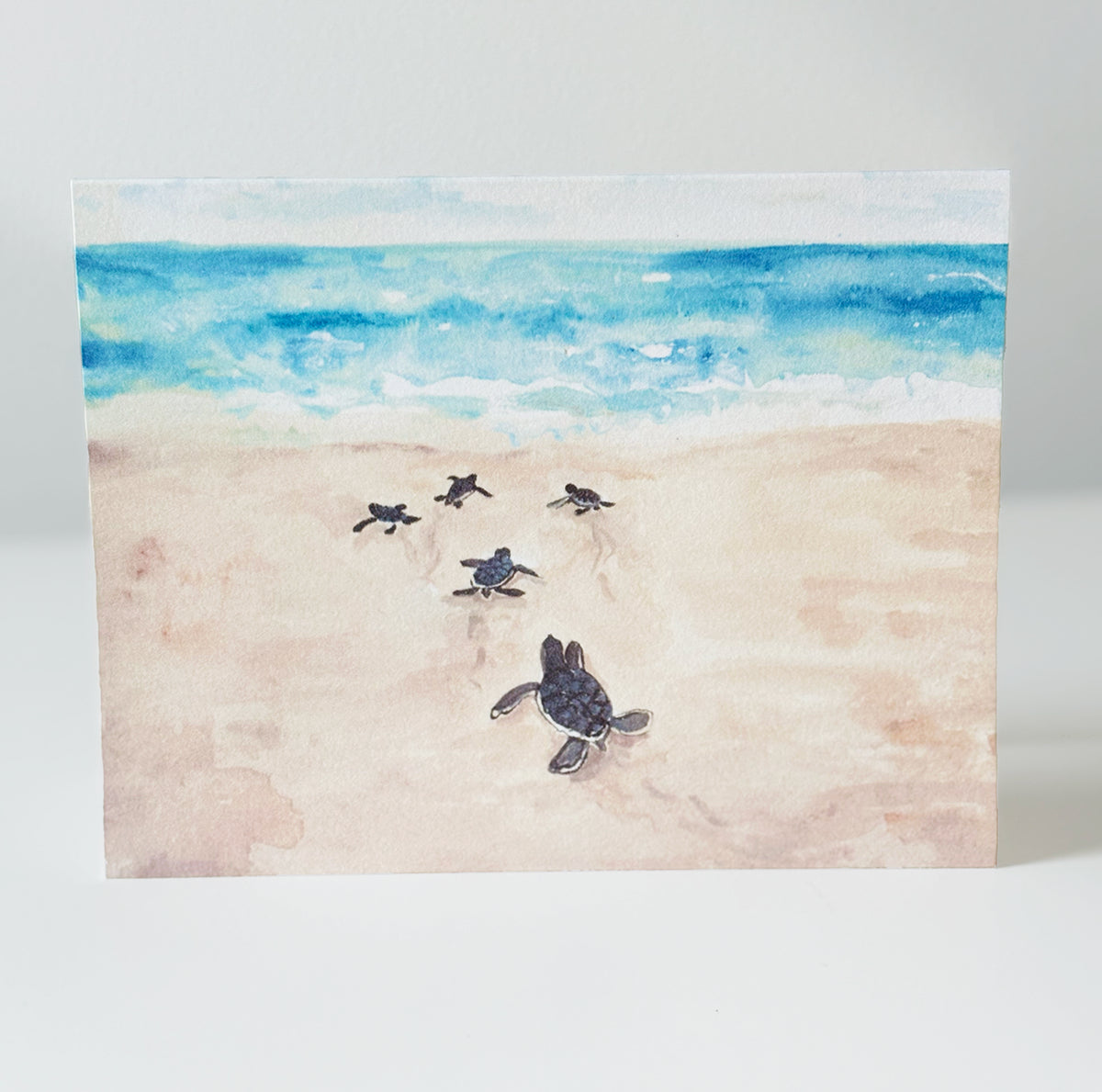 Sea Turtle Notecards, set of 8