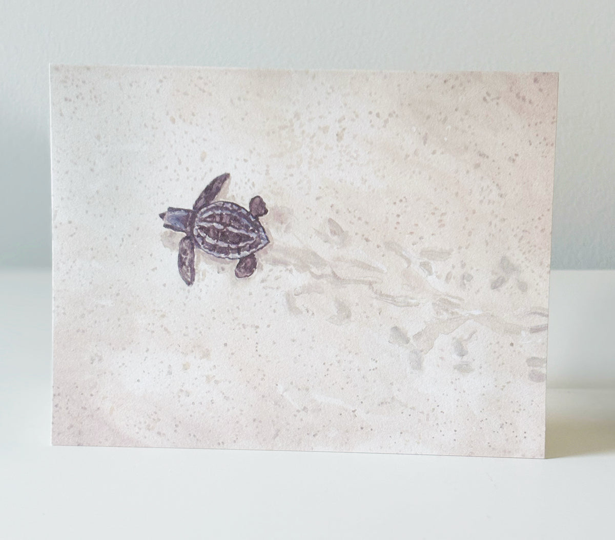 Sea Turtle Notecards, set of 8