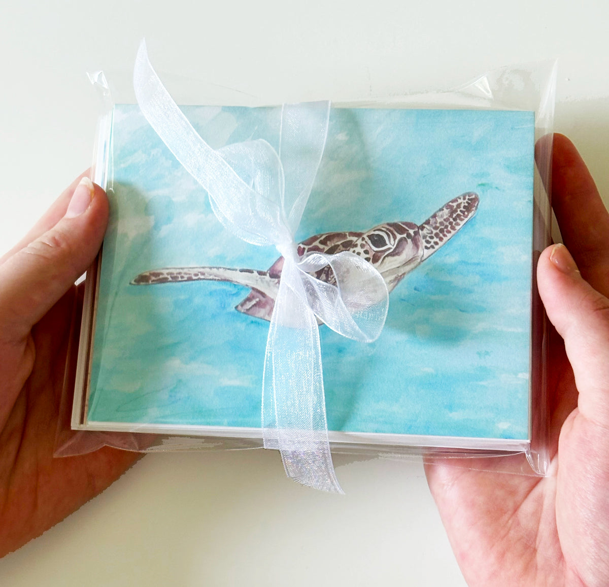 Sea Turtle Notecards, set of 8