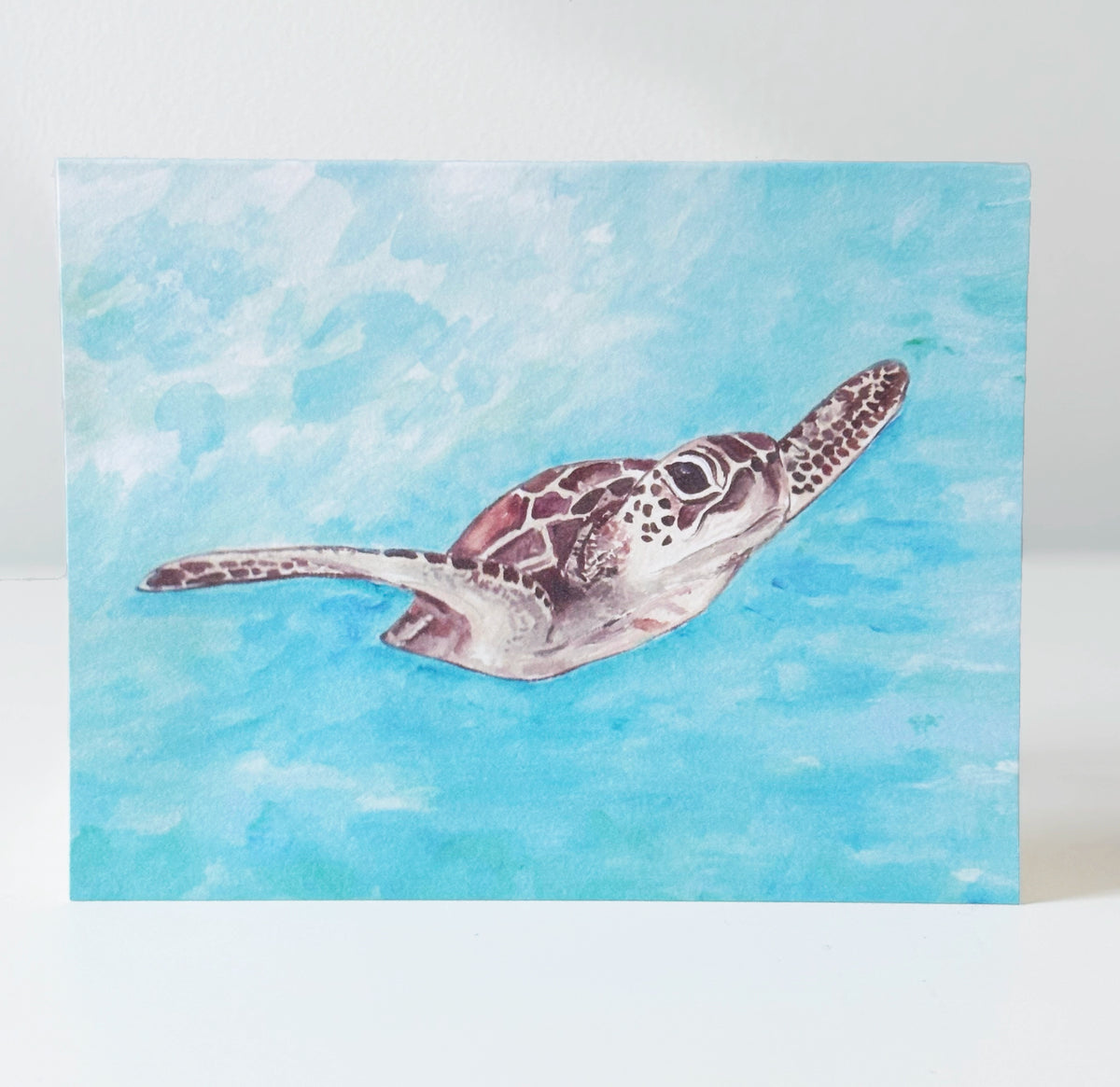 Sea Turtle Notecards, set of 8