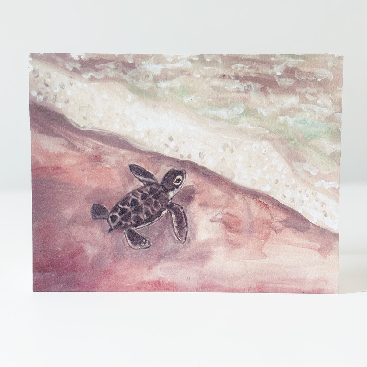 Sea Turtle Notecards, set of 8
