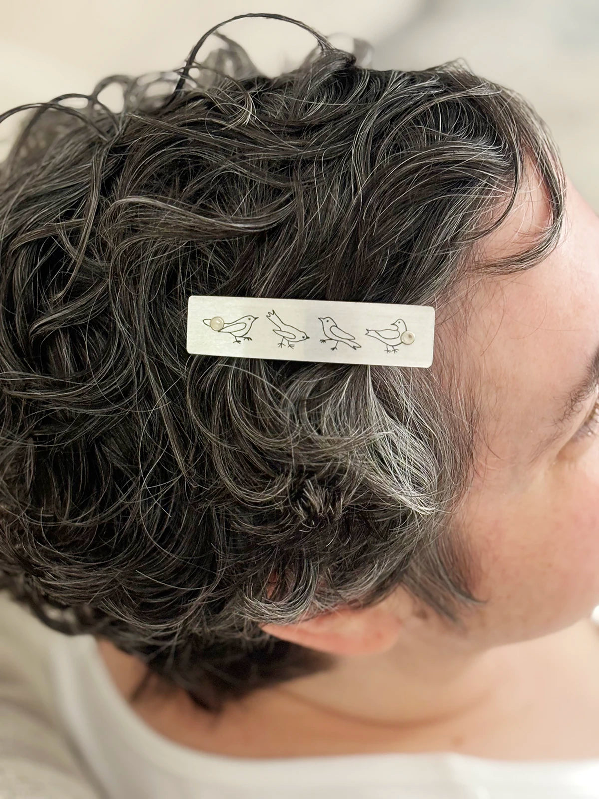 Whimsical Birds French Barrette Hair Clip