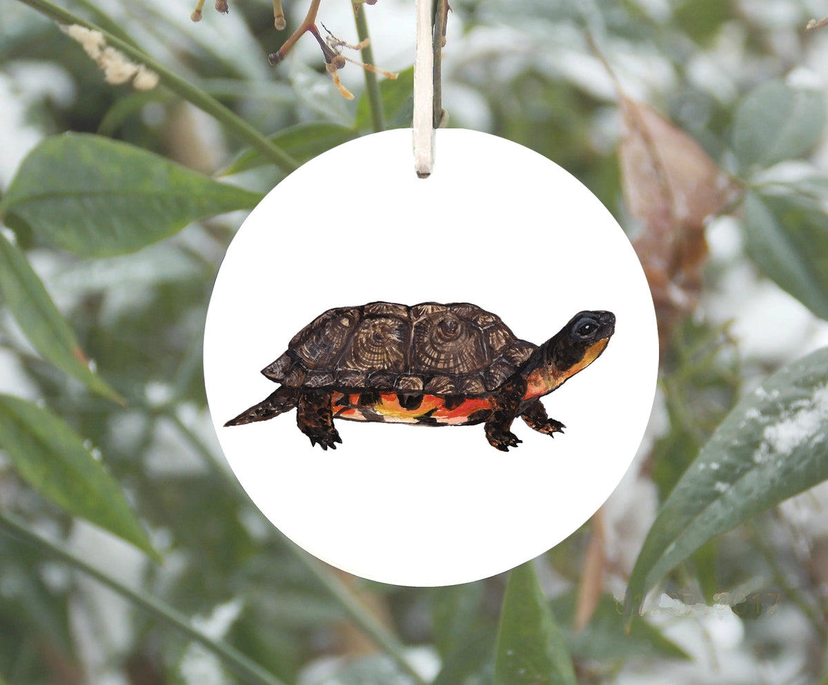 Wood Turtle Ornament