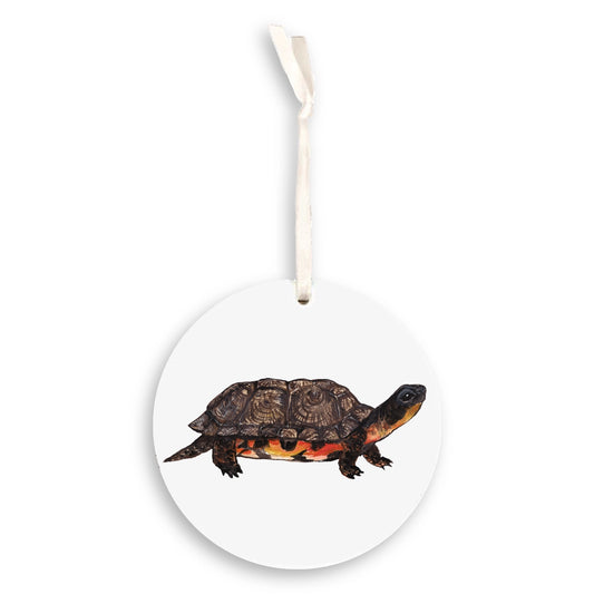 Wood Turtle Ornament
